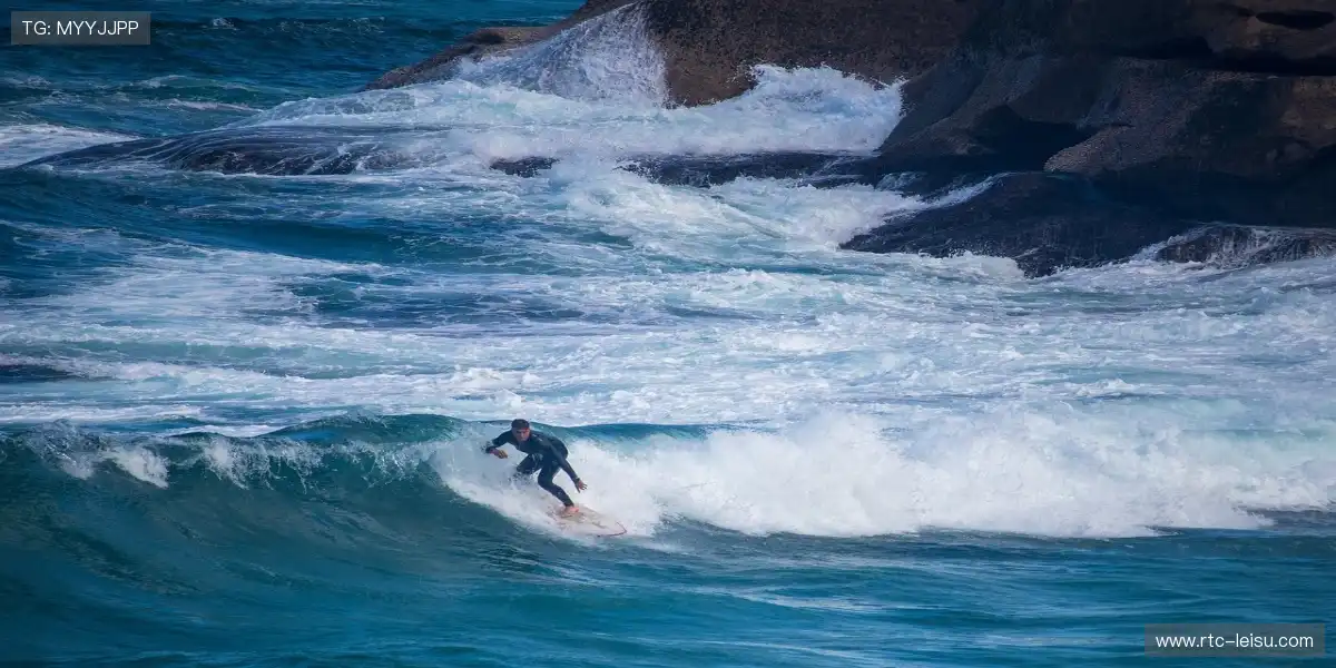 📡技术信号满格加持,让比赛不卡一秒!⚡